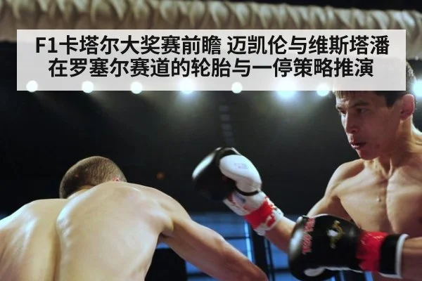 F1卡塔尔大奖赛前瞻 迈凯伦与维斯塔潘在罗塞尔赛道的轮胎与一停策略推演